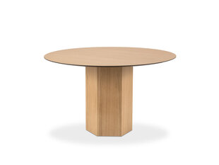 Pöytä Micadoni Home Sahara, 120 cm, ruskea hinta ja tiedot | Micadoni Home Keittiön kalusteet | hobbyhall.fi
