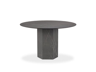 Pöytä Micadoni Home Sahara, 120 cm, harmaa hinta ja tiedot | Micadoni Home Huonekalut ja sisustus | hobbyhall.fi