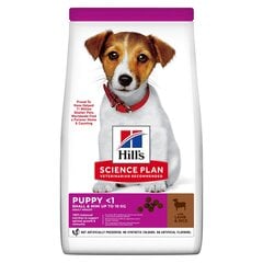 Kuivaravinto pennuille Hill's Science Plan Puppy Small & Mini -kana, 0,3 kg hinta ja tiedot | Koiran kuivaruoka | hobbyhall.fi