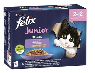 Felix Fantastic kissan märkäruoka, naudanlihaa, kanaa, sardiinia, lohta, 12x85g hinta ja tiedot | Kissanruoka | hobbyhall.fi
