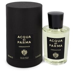 Acqua di Parma Ambra EDP hajuvesi naisille/miehille, 100 ml hinta ja tiedot | Acqua Di Parma Hajuvedet ja tuoksut | hobbyhall.fi