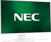 NEC 60004650 hinta ja tiedot | Näytöt | hobbyhall.fi