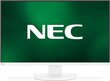 NEC 60004650 hinta ja tiedot | Näytöt | hobbyhall.fi