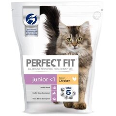 PERFECT FIT Kuivaruokaa pennuille kanaa, 750g hinta ja tiedot | Kissan kuivaruoka | hobbyhall.fi