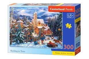 Castorland-palapeli, 300 palaa. hinta ja tiedot | Palapelit | hobbyhall.fi