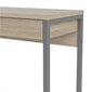 Kirjoituspöytä Tvilum Function Plus 101, ruskea / harmaa hinta ja tiedot | Tietokonepöydät ja työpöydät | hobbyhall.fi
