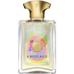 Amouage Fate for Men EDP hajuvesi miehelle 50 ml hinta ja tiedot | Miesten hajuvedet | hobbyhall.fi