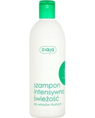 Elvyttävä shampoo minttu Ziaja 400 ml hinta ja tiedot | Shampoot | hobbyhall.fi