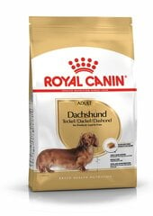 ROYAL CANIN kuivaruoka Dachshund adult, 7,5 kg hinta ja tiedot | Koiran kuivaruoka | hobbyhall.fi