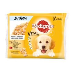 -PEDIGREE Junior kuivamuonaa kanaa ja kalkkunakastiketta, 4x100g hinta ja tiedot | Koiran märkäruoka | hobbyhall.fi