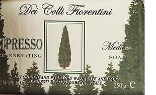 Luonnonsaippua Nesti Dante Dei Colli Fiorentini Cipresso Regenerating 250 g hinta ja tiedot | Nesti Dante Hajuvedet ja kosmetiikka | hobbyhall.fi