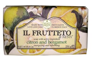 Luonnonsaippua Nesti Dante Il Frutteto Citron And Bergamot 250 g hinta ja tiedot | Saippuat | hobbyhall.fi