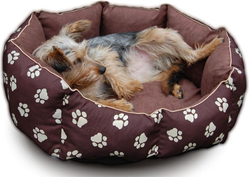 Hobbydog peti New York Brown Paws, 50x40 cm hinta ja tiedot | Pedit ja pesät | hobbyhall.fi