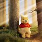 Disney-maskotti Nalle Puh 35 cm hinta ja tiedot | Vauvan lelut | hobbyhall.fi