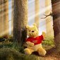 Disney-maskotti Nalle Puh 35 cm hinta ja tiedot | Vauvan lelut | hobbyhall.fi