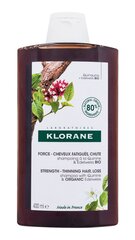 Shampoo oheneville hiuksille Klorane 400 ml hinta ja tiedot | Shampoot | hobbyhall.fi