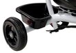 Lean Toys PRO300 kolmipyörä työntökahvalla, violetti hinta ja tiedot | Kolmipyörät | hobbyhall.fi