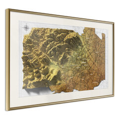 Juliste - Raised Relief Map: Vienna hinta ja tiedot | Taulut | hobbyhall.fi