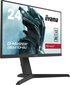 Iiyama G-Master 23.8" Fast IPS Monitor G2470HSU-B1 hinta ja tiedot | Näytöt | hobbyhall.fi