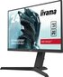 Iiyama G-Master 23.8" Fast IPS Monitor G2470HSU-B1 hinta ja tiedot | Näytöt | hobbyhall.fi