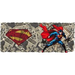 Abysse Superman and Newspaper hinta ja tiedot | Pelien oheistuotteet | hobbyhall.fi