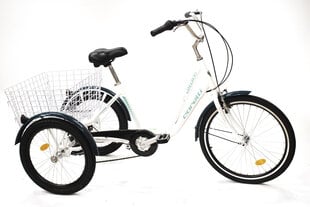 Corelli Kanguroo 24" lasten kolmipyörä, valkoinen/sininen hinta ja tiedot | Corelli Pyörät, potkulaudat, rullaluistimet ja skeittilaudat | hobbyhall.fi