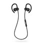 Niceboy HIVE Sport 2 langattomat Bluetooth-kuulokkeet hinta ja tiedot | Kuulokkeet | hobbyhall.fi