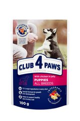 CLUB 4 PAWS Premium täyssäilyke pennuille; kanaa hyytelössä, 100 g x 20 kpl + 4 kpl BONUS: hinta ja tiedot | Koiran märkäruoka | hobbyhall.fi