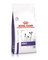 Royal Canin koirille, joilla on suuhygieniaongelmia ja herkkä ruuansulatusjärjestelmä Adult Small Dog, 8 kg hinta ja tiedot | Koiran kuivaruoka | hobbyhall.fi