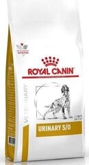 Royal Canin Munuaisongelmat Koiran Virtsatie S / O, 13 kg hinta ja tiedot | Koiran kuivaruoka | hobbyhall.fi