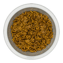 Koiranruoka Royal Canin Maxi Adult 2 kg hinta ja tiedot | Koiran kuivaruoka | hobbyhall.fi