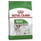 Koiranruoka Royal Canin Maxi Adult 2 kg hinta ja tiedot | Koiran kuivaruoka | hobbyhall.fi