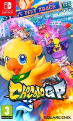 Chocobo GP Switch hinta ja tiedot | Tietokone- ja konsolipelit | hobbyhall.fi