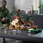 75330 LEGO® Star Wars Dagobah™ Jedi™ Training Diorama hinta ja tiedot | LEGOT ja rakennuslelut | hobbyhall.fi