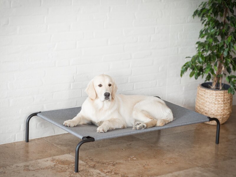 Hobbydog vuode Iron Grey Linen XXL, 120x68x20 cm hinta