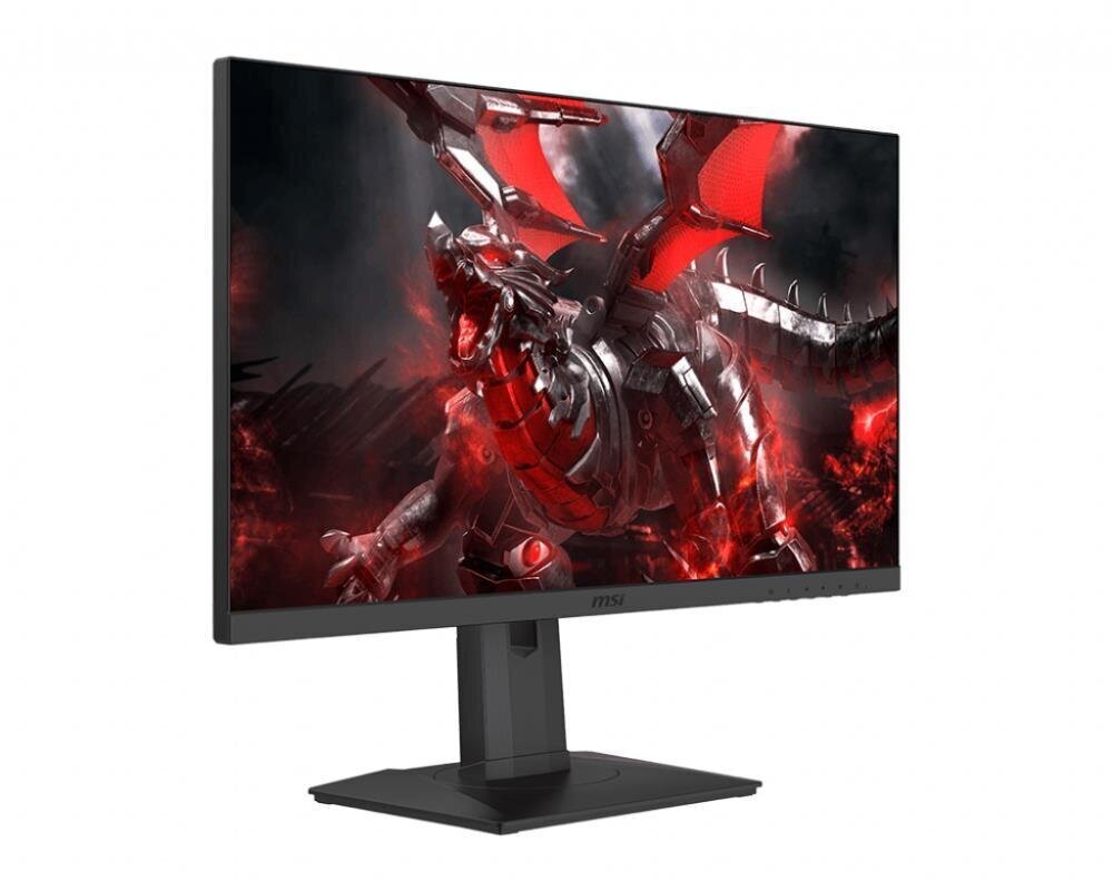 MSI 24,5" Full HD IPS pelinäyttö Optix G251PF hinta ja tiedot | Näytöt | hobbyhall.fi