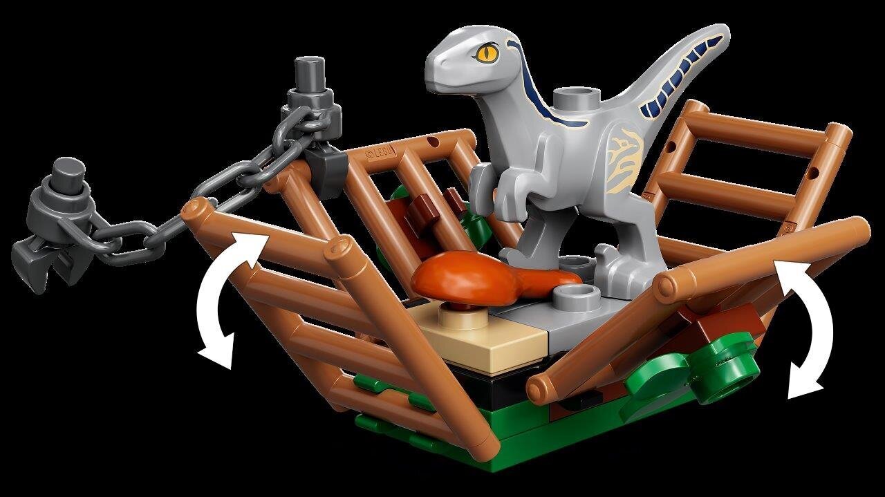 76946 LEGO® Jurassic World ™ Velociraptorit Blue ja Beta jäävät kiikkiin hinta ja tiedot | LEGOT ja rakennuslelut | hobbyhall.fi