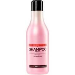 Stapiz Basic Salon Fruit shampoo 1000 ml hinta ja tiedot | STAPIZ PROFESSIONAL Hajuvedet ja kosmetiikka | hobbyhall.fi