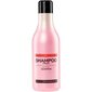 Stapiz Basic Salon Fruit shampoo 1000 ml hinta ja tiedot | Shampoot | hobbyhall.fi