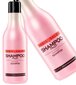 Stapiz Basic Salon Fruit shampoo 1000 ml hinta ja tiedot | Shampoot | hobbyhall.fi
