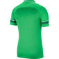 Nike Polo Dry Academy miesten pikeepaita 21 M CW6104 362, vihreä hinta ja tiedot | Miesten urheiluvaatteet | hobbyhall.fi