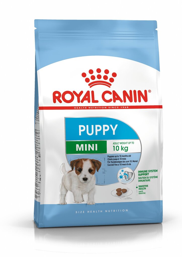Royal Canin Mini Junior -koiranruoka, 2 kg hinta 