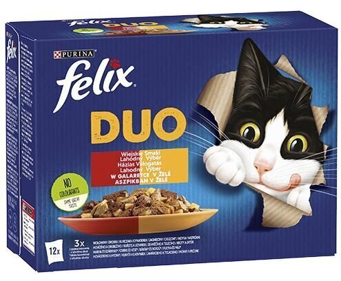 Felix Duo naudanliha ja siipikarja, kana ja munuaiset, lampaan- ja vasikanliha, kalkkuna ja maksa -kissanruoka 12 x 85 g hinta ja tiedot | Kissanruoka | hobbyhall.fi