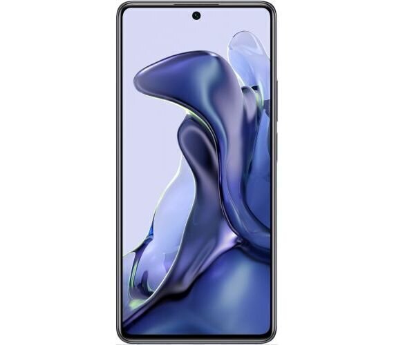 Xiaomi 11T 5G älypuhelin, 256GB, Dual SIM, harmaa hinta ja tiedot | Matkapuhelimet | hobbyhall.fi