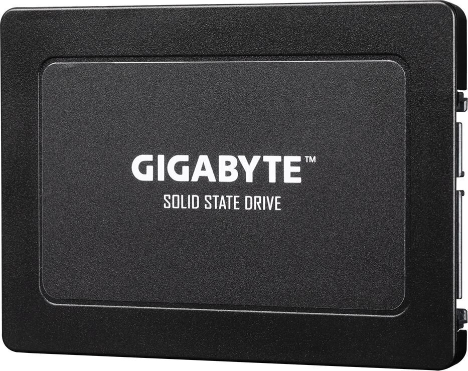 Gigabyte GP-GSTFS31960GNTD-V hinta ja tiedot | Kovalevyt | hobbyhall.fi