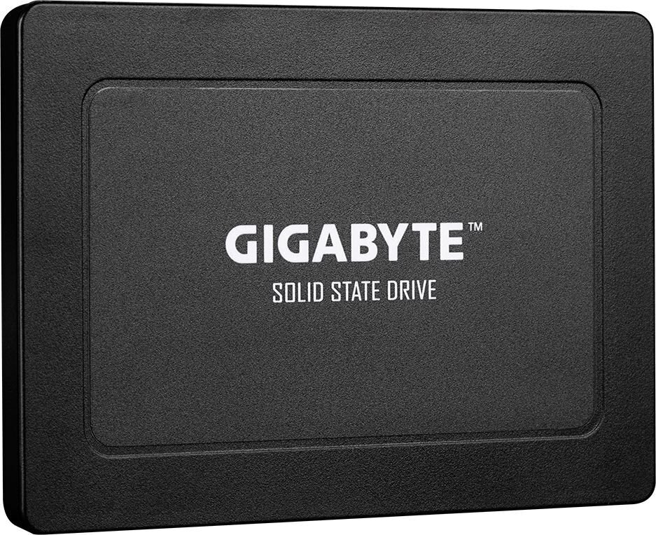 Gigabyte GP-GSTFS31960GNTD-V hinta ja tiedot | Kovalevyt | hobbyhall.fi