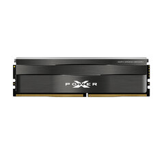 Random access -muisti SP016GXLZU360BDC hinta ja tiedot | Muisti (RAM) | hobbyhall.fi