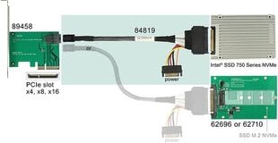-Delock 84819 Mini SAS - U.2 SSD, SATA, 0,5 m hinta ja tiedot | Kaapelit ja adapterit | hobbyhall.fi