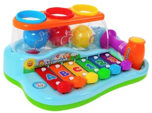 Interaktiivinen ksylofoni hinta ja tiedot | Vauvan lelut | hobbyhall.fi