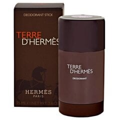 Puikkodeodorantti Hermes Terre D'Hermes miehille, 75 ml. hinta ja tiedot | Deodorantit | hobbyhall.fi